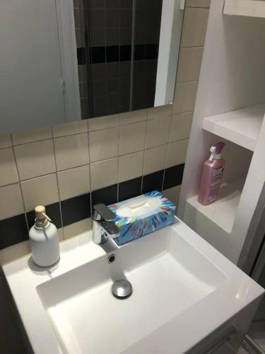 La salle de bains est pourvue d'un lavabo, d'un distributeur de savon et d'un miroir. dans l'établissement Appartement Paris 5e, à Paris