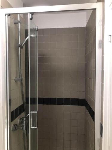 une douche avec une porte vitrée dans une salle de bain dans l'établissement Appartement Paris 5e, à Paris