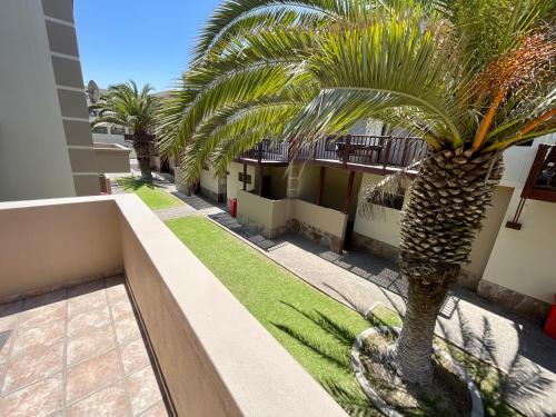 a palm tree in front of a building at Salty Sunset Self Catering in Langstrand