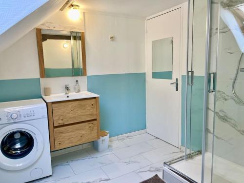 La salle de bains est pourvue d'un lave-linge et d'une douche. dans l'établissement Aux Arcades de Reims Cathédrale, à Reims