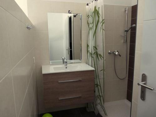 une salle de bain avec un lavabo et une douche avec un miroir dans l'établissement Villa Cap Dramont, à Saint-Raphaël
