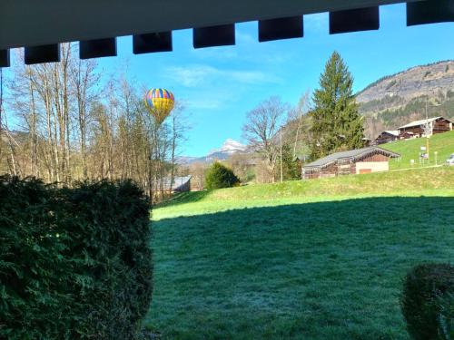 Studio pour 4 avec terrasse plein pied, coin montagne, vue montagne & nature à Praz sur Arly