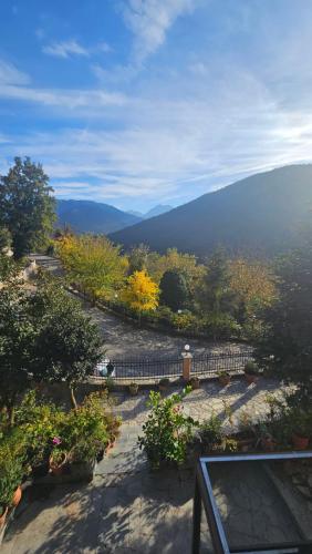 a view of a garden with plants and trees at Villa Virginia Hotel in Karpenision