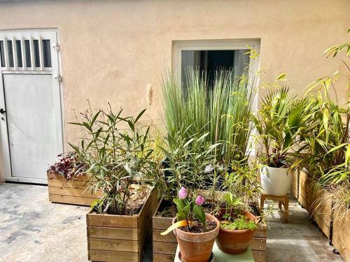 Un grupo de plantas en macetas frente a un edificio. en Jolie Mini Maison Lovely Tiny House, en Vitry-sur-Seine