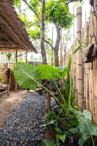 a garden with a large green leaf next to a fence at Femya Homestay in El Nido