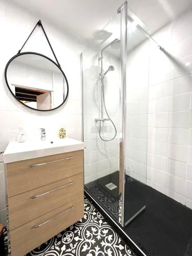 une salle de bain avec une douche, un lavabo et un miroir dans l'établissement Jolie Mini Maison Lovely Tiny House, à Vitry-sur-Seine
