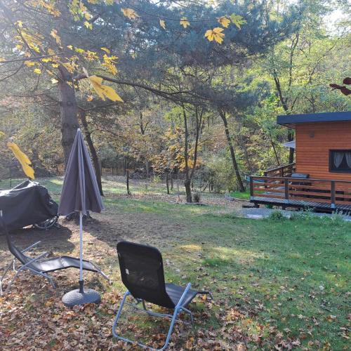 a couple of chairs and an umbrella in a yard at Szalonka Vendégház Kemence in Kemence