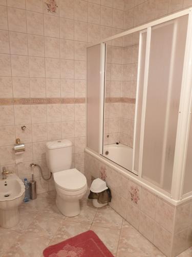 a bathroom with a toilet and a tub and a sink at BAHAR Apartment-Ohrid in Ohrid