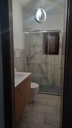 a bathroom with a shower and a toilet and a sink at A cantunera o castieddu in Naro