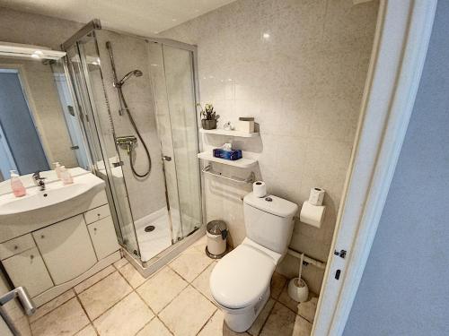 une salle de bain avec une douche, des toilettes et un lavabo dans l'établissement Beau studio 2 personnes LES TUILERIES DRI7, à Cannes
