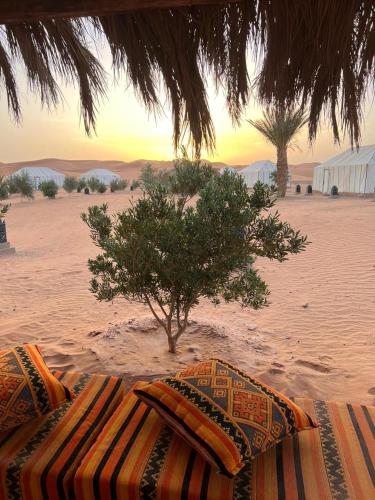 a beach umbrella and a tree in the desert at Khadija Desert Camp in Merzouga