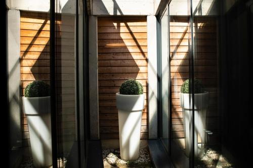 three white vases with plants in them on a wall at Hotel Le Pavillon 7 in Obernai