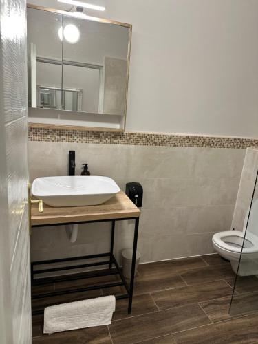 a bathroom with a sink and a mirror and a toilet at Apartments & Room - Korzo in Sombor