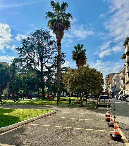a parking lot with a palm tree and some cones at Hotel Giardino in Follonica