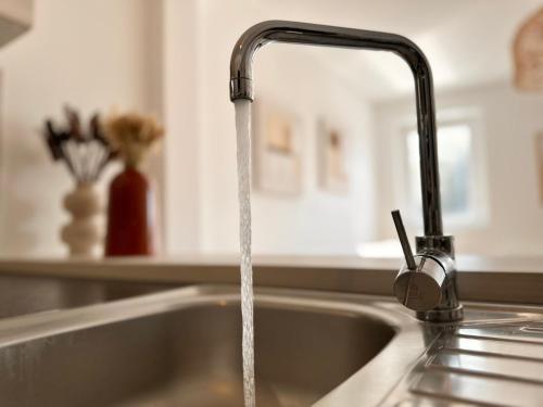 - un évier de cuisine avec de l'eau provenant d'un robinet dans l'établissement Le Bobochic - Calme & Élégance au Cœur de la Ville, à Mont-de-Marsan