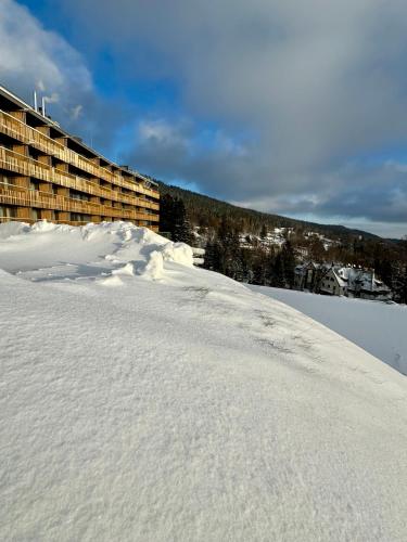 冬のRadisson Hotel Szklarska Porębaの様子
