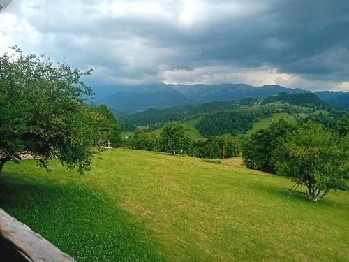 a green field with trees and mountains in the distance at Casa rustica in Braşov