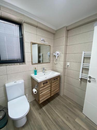 a bathroom with a toilet and a sink and a mirror at ANTİGONİA BUTİK OTEL in İznik