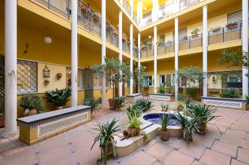 San Vicente 43, by Homing U