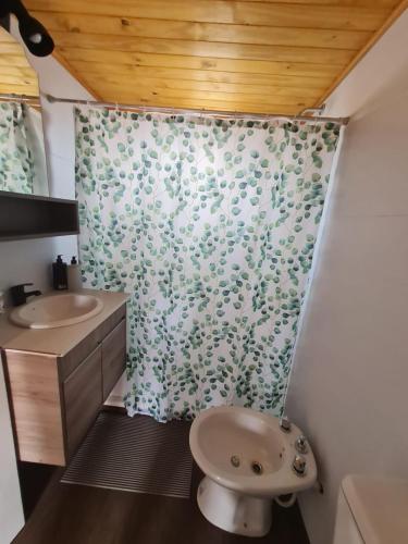 a bathroom with a shower curtain with a sink and a toilet at Cabañas Ruidos de Agua in Choele Choel