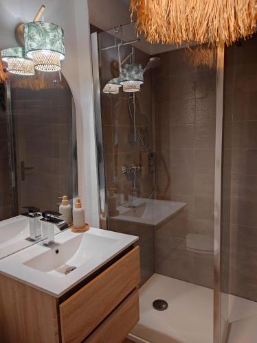 een badkamer met wastafel en douche bij L'Obernai in Obernai