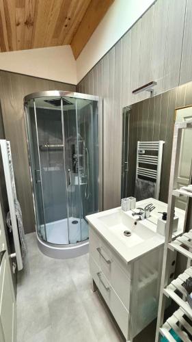 une salle de bain avec douche et lavabo dans l'établissement Gite La Vieille Grange, with pool in the Dordogne, à Saint-Privat-des-Prés