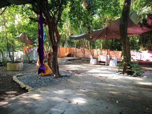 Taman di luar JUNGLE AERIAL ARTS NAMASTE LA UNION Chi fan kubo 2pax
