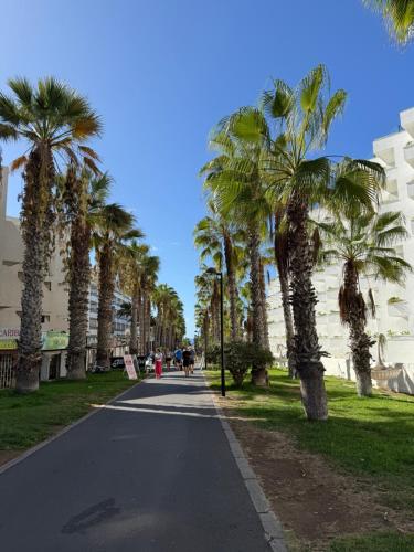 Apartamento Optimist Playa de Las Americas
