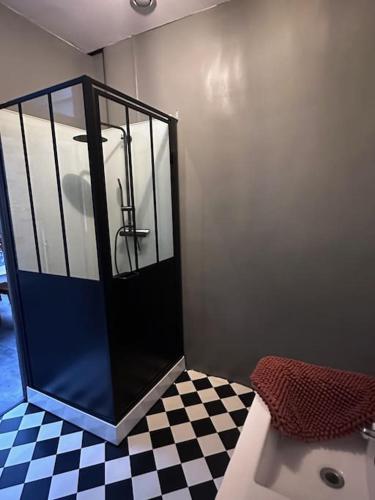 La salle de bains est pourvue d'une cabine de douche et d'un sol en damier. dans l'établissement L'entrepôt, à Auxerre
