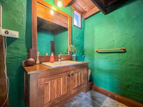 a green bathroom with a sink and a mirror at Villa Montaña Negra I in Las Palmas de Gran Canaria