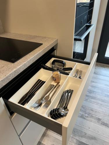 Кухня или мини-кухня в New Apartments Barlad
