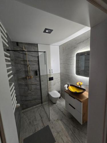a bathroom with a shower and a sink and a toilet at Apartament w Centrum z Jacuzzi, prywatny parking, klimatyzacja 4 in Radom