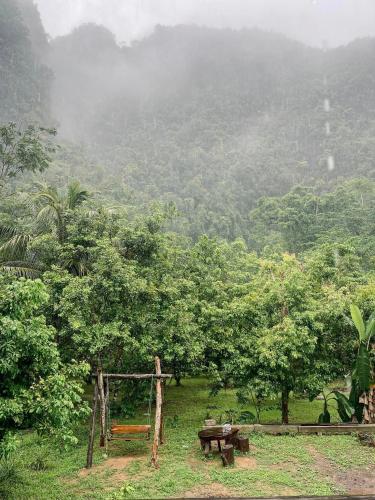 a park with a table and benches and trees at Khao Sok Green Mountain View in Khao Sok