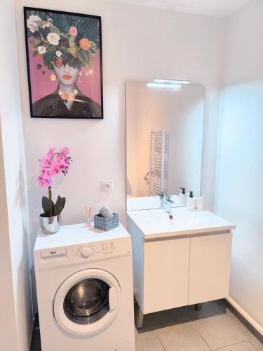 une salle de bain avec une machine à laver et un lavabo dans l'établissement Bright flat near Disneyland with private parking, à Chalifert