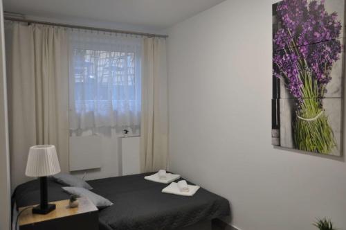 Legionowo Przytulny Apartament z Tarasem by Noclegi Renters