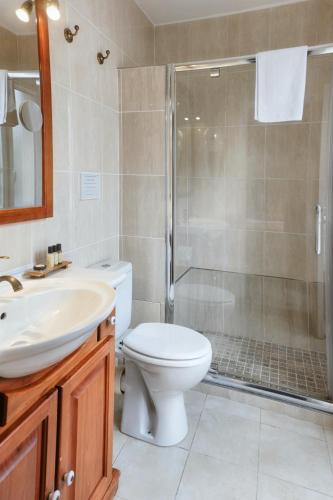 a bathroom with a shower and a toilet and a sink at Hôtel du Château in Vincennes