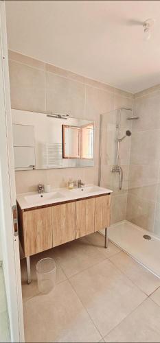 une salle de bain avec un lavabo et une douche dans l'établissement La Cigale du Lubéron, à Beaumont-de-Pertuis