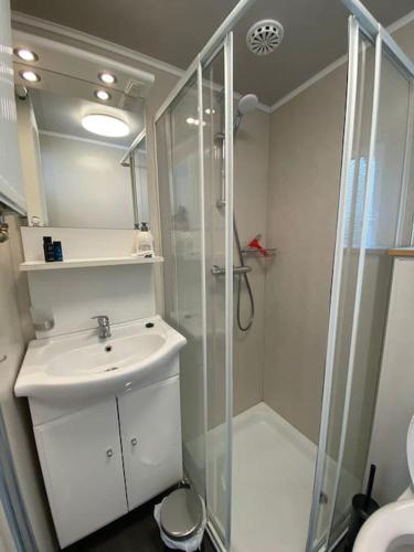 a small bathroom with a shower and a sink at Prachtig Boschalet met CV, Airco en Sauna op de Veluwe in Doornspijk