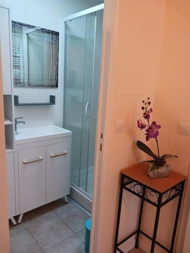 La salle de bains est pourvue d'une douche, d'un lavabo et d'une table. dans l'établissement Centre ville-Rue commerçante, à Vendôme