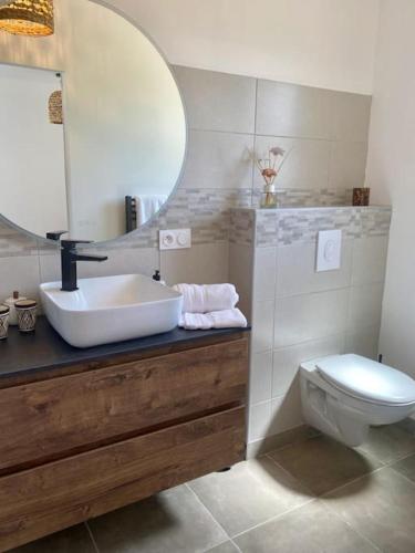 une salle de bain avec un lavabo, des toilettes et un miroir dans l'établissement La Maison du Sud, à La Bastide-dʼEngras