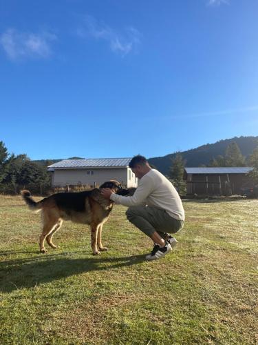 a man petting a dog in a field at TinyHouse Box Lican Ray in Licán Ray
