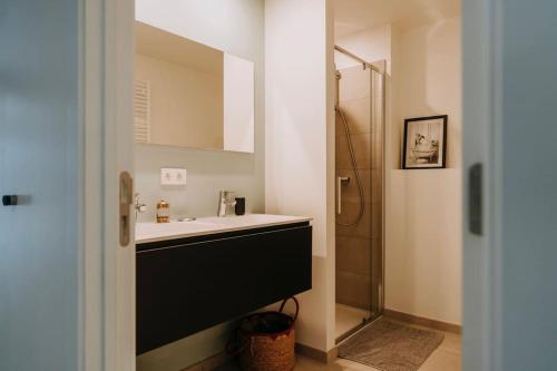 a bathroom with a sink and a shower at 2 bedroom apartment and private parking in Liège center in Liège