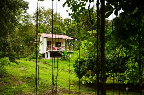 a small house in the middle of a forest at Istmo Beach and Jungle Bungalows in San Carlos