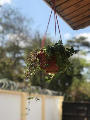 Φωτογραφία από το άλμπουμ του COZY NYUMBA σε Arusha
