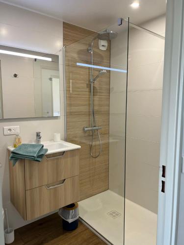 une salle de bain avec douche et lavabo dans l'établissement Face à la Mer-Canet Plage Sud-F3+Parking, à Canet