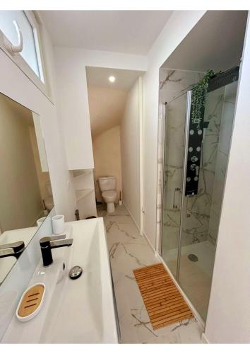 une salle de bain avec douche et lavabo dans l'établissement Appartement de charme proche de la mer, à Palavas-les-Flots