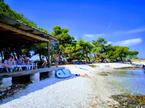 Příroda nedaleko apartmánu