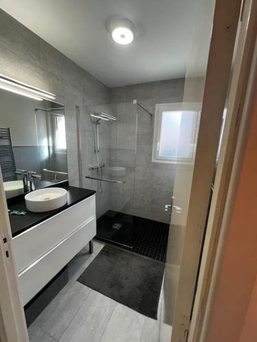une salle de bain avec un lavabo et une douche en verre dans l'établissement Appartement Hyeres 10 min plage, à Hyères