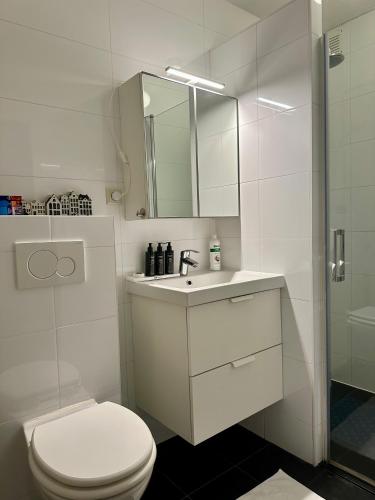 a white bathroom with a toilet and a sink at Perfectly located charming apartment MAGDALENA HOUSE for true connoisseurs in Haarlem