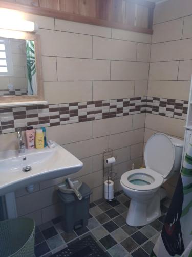 a bathroom with a toilet and a sink at Ti coin panoramique in Salazie